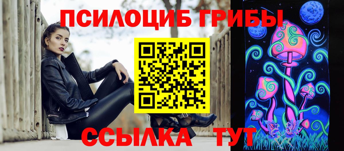 Псилоцибиновые грибы Psilocybe  Вход с VPN  Курчатов 